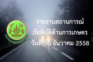 report30