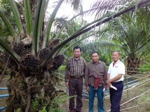 DSCF0978
