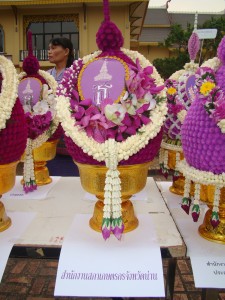 DSC02335