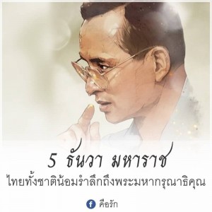 S__15466536
