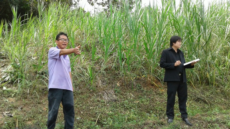 เกษตรรุ่นใหม่นาหมื่น_๑๗๐๑๑๓_0018_0