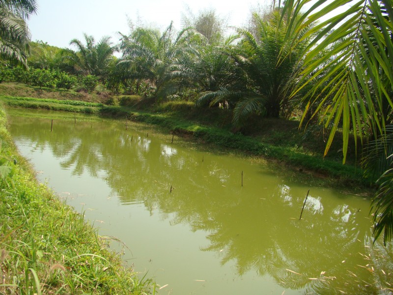 DSC01638